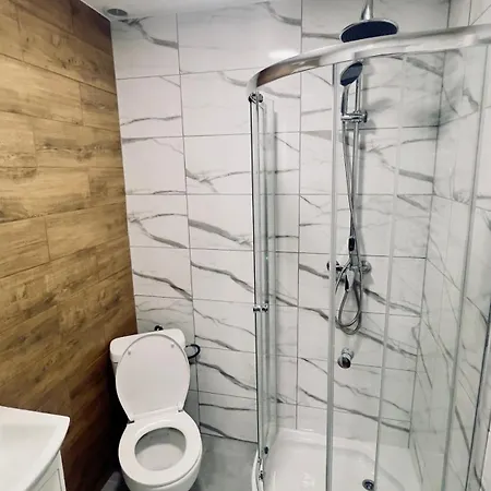 With A Mezzanine In The Center Apartment Poznan