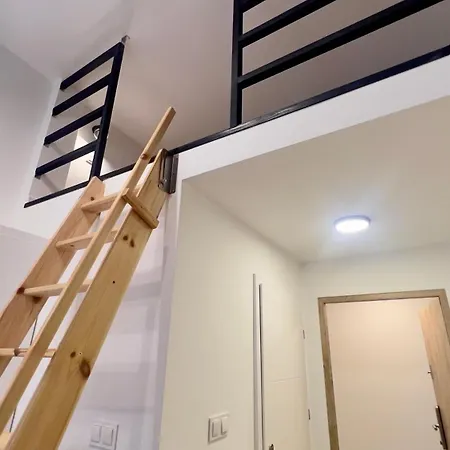 Apartment With A Mezzanine In The Center Poznan