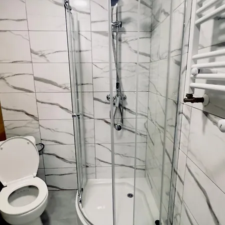 With A Mezzanine In The Center Apartamento Poznan